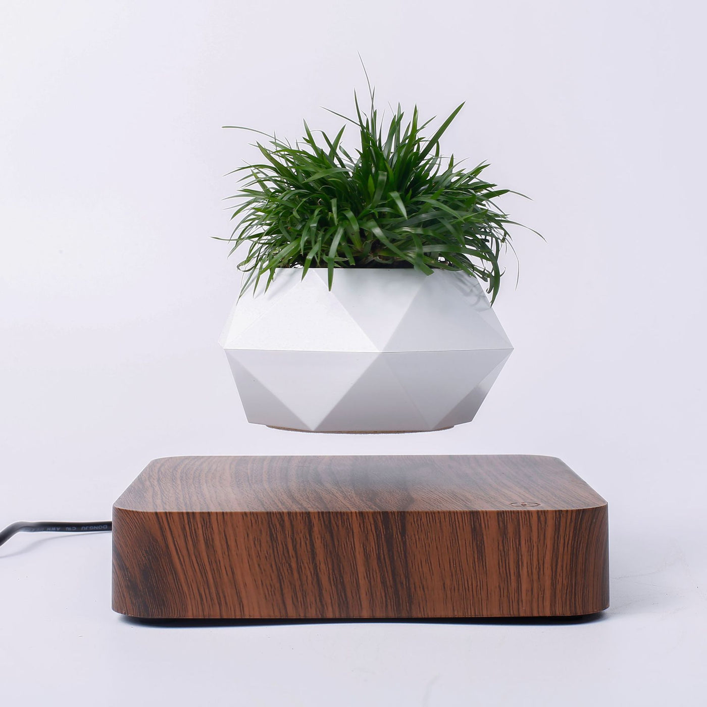 Levitating Desk Plant Pot - Glamorous Hangups Ltd