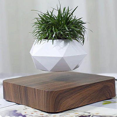 Levitating Desk Plant Pot - Glamorous Hangups Ltd