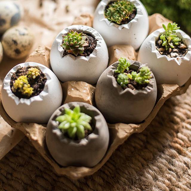 Egg Garden Succulent Tiny Planter - Glamorous Hangups Ltd