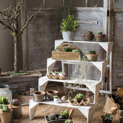 Egg Garden Succulent Tiny Planter - Glamorous Hangups Ltd