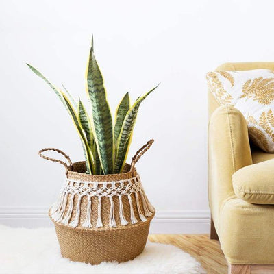 Seagrass Woven Tassel Basket - Glamorous Hangups Ltd
